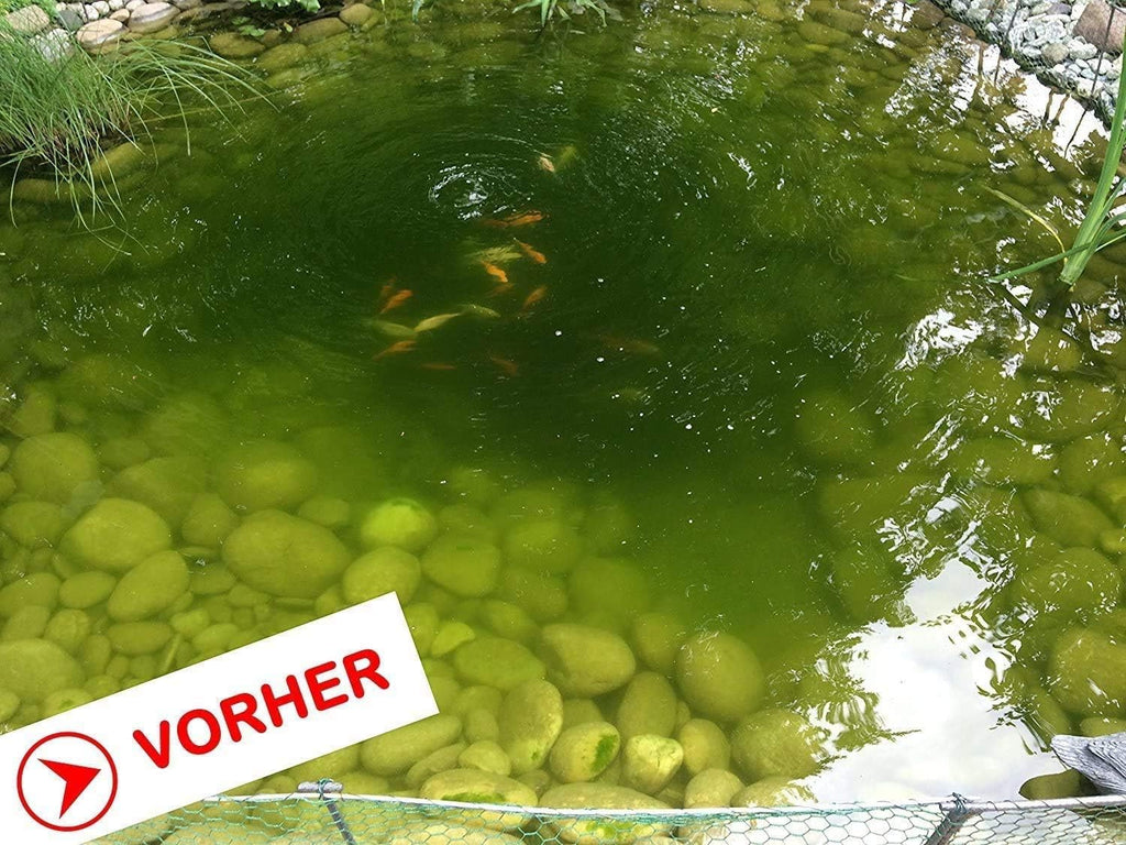 Teichpflege Granulat 1,5 kg für bis zu 100000 Liter gegen Algen und Biofilm Oberflächenschutz körnig
