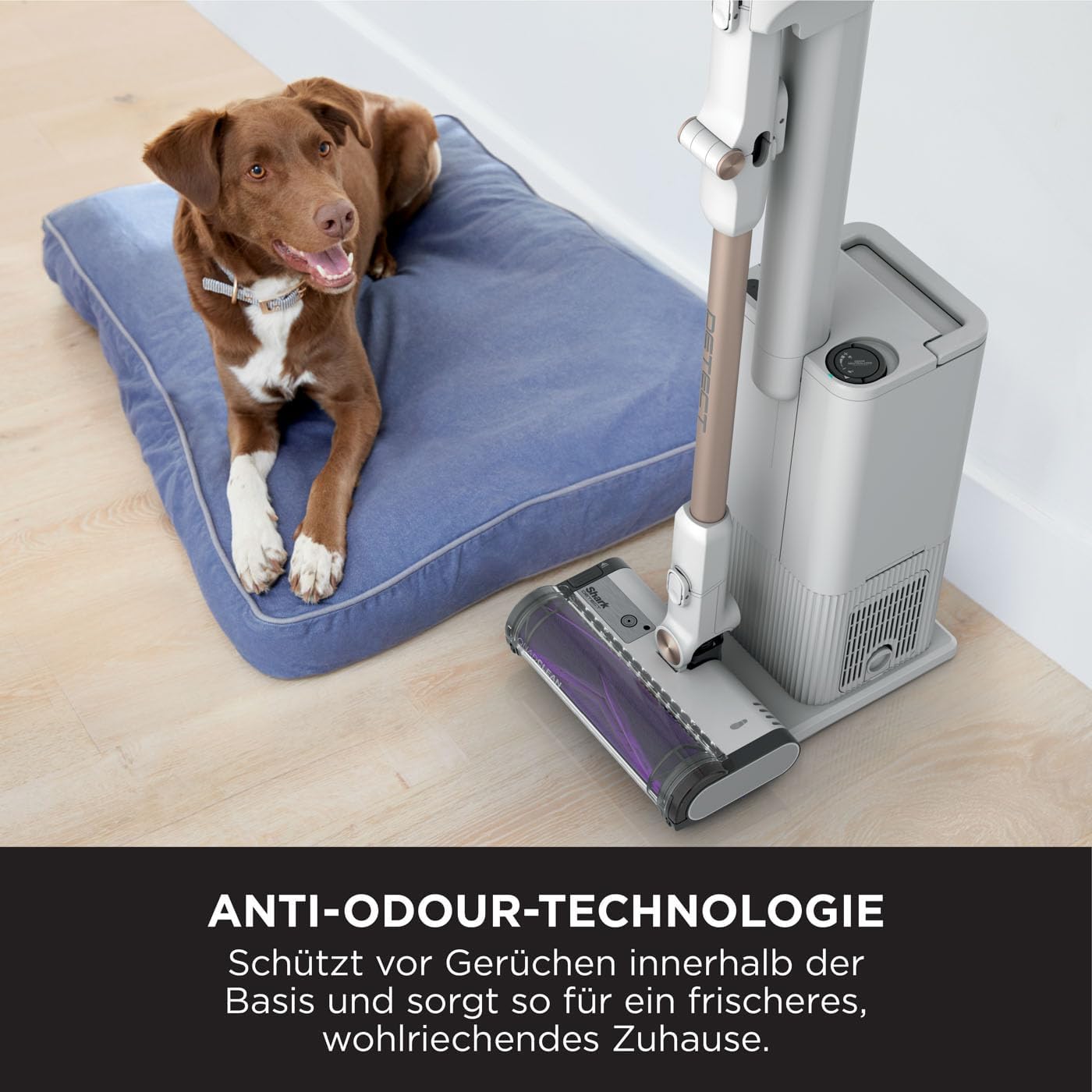 Akku-Staubsauger Stick IW3612EU mit selbstleerender 2 l Basisstation 60 Min Laufzeit HEPA Filter Anti Hair Wrap Fugendüse Weiß