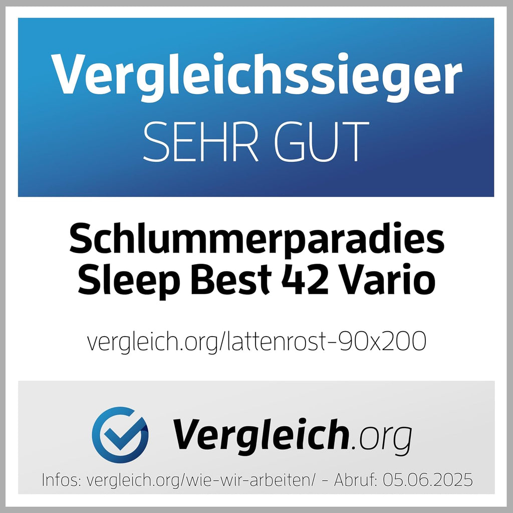 Lattenrost Vario Sleep Best 42 140x200 cm 7 Zonen Kopfteil verstellbar 42 Federleisten Härteregulierung Mittelgurt aus Buche