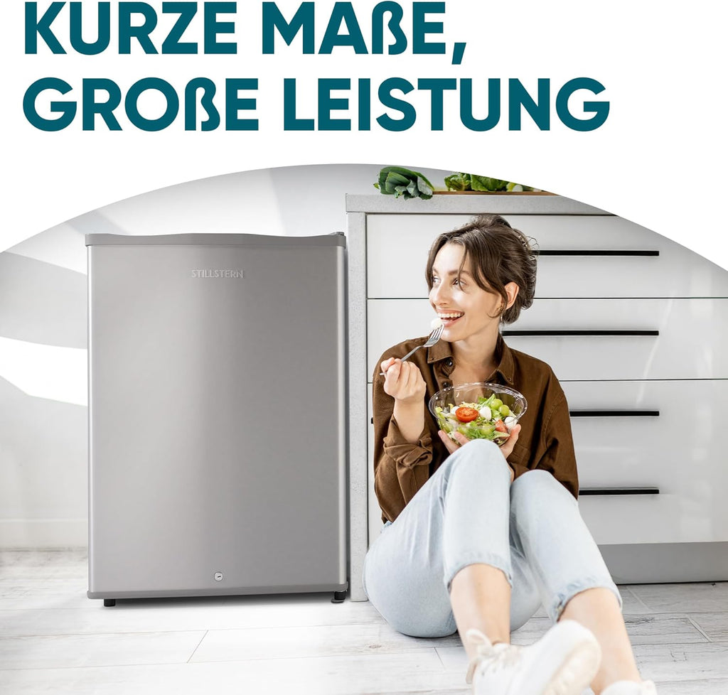 Mini Gefrierschrank 42 L 4 Sterne Tiefkühlschrank -18 °C Energieklasse E mit wechselbarem Türanschlag und Schloss