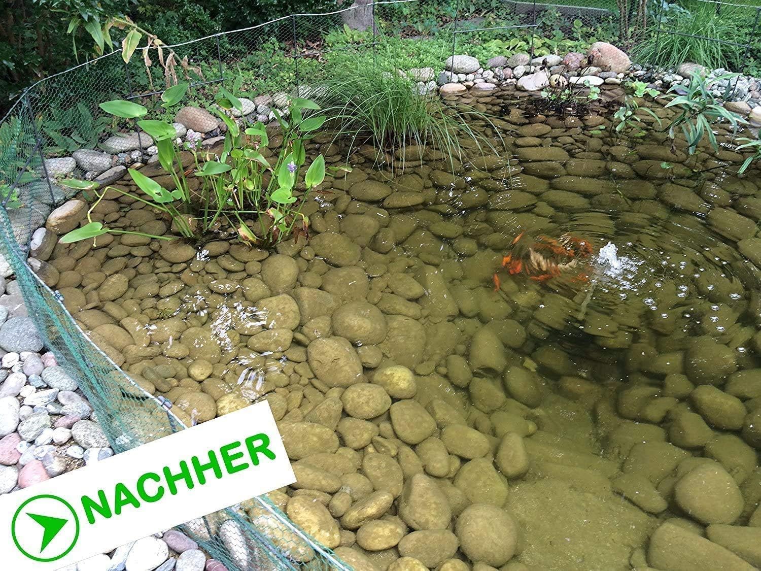 Teichpflege Granulat 1,5 kg für bis zu 100000 Liter gegen Algen und Biofilm Oberflächenschutz körnig